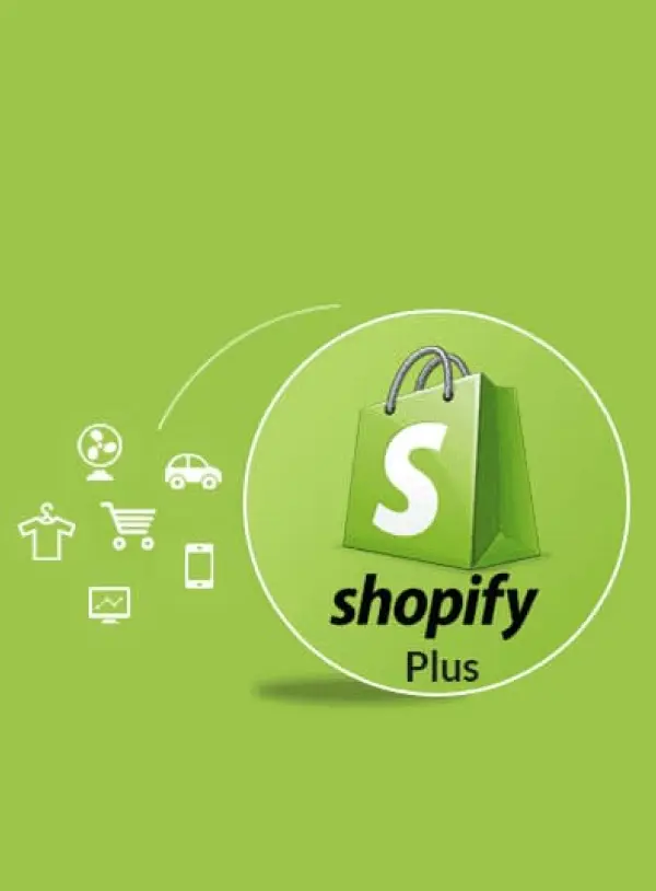Shopify store developers in Dubai, UAE